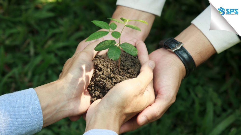 Sustainability Strategy dalam Bisnis: Investasi untuk Masa Depan